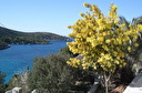 Villa Sonia et Teo