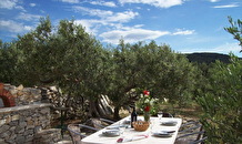 Island Brac theme stay - picking olives